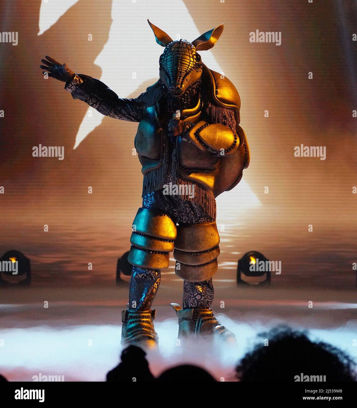 THE MASKED SINGER, Armadillo, The Double Mask Off Round 2 Finals