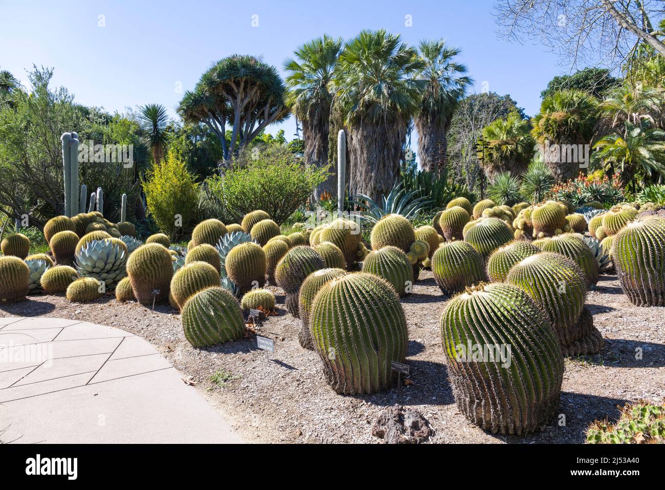 Huntington Library Botanic Gardens Stock Photo Alamy