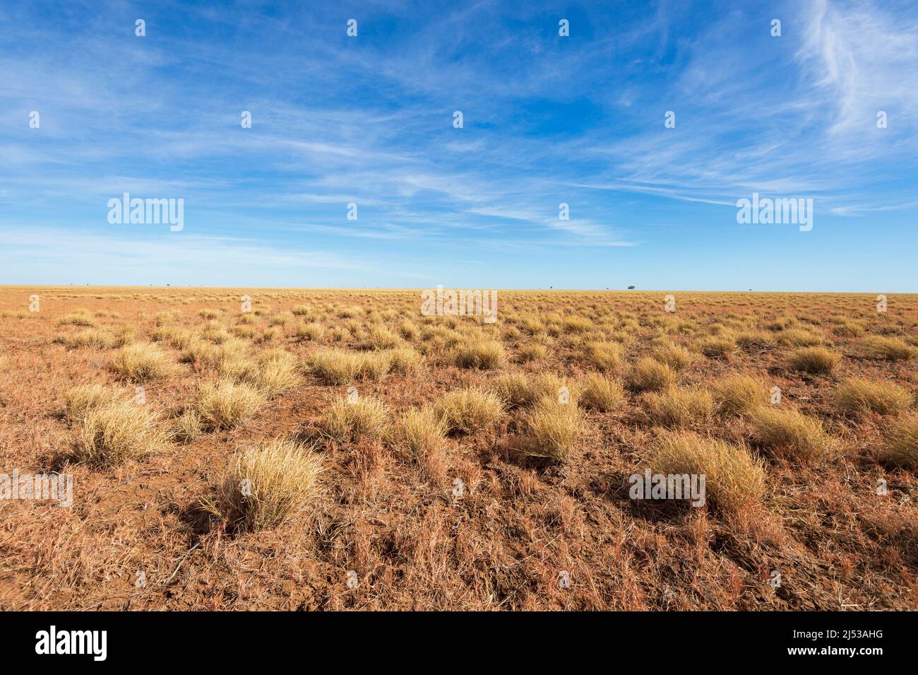 View of the barren plains of the Barkly Tablelands, Northern Territory, NT, Australia Stock Photo