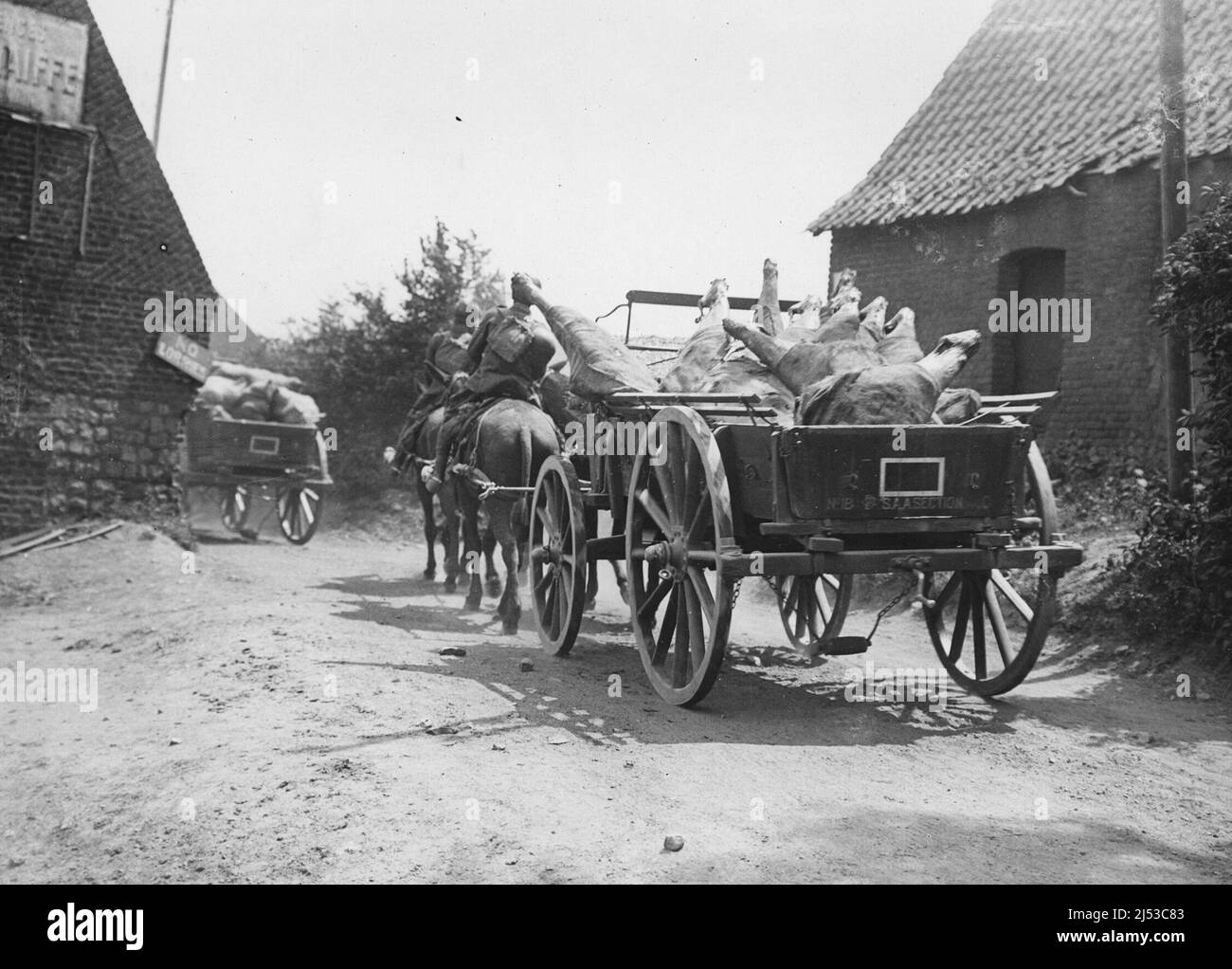 Mule-drawn carts taking meat to the Front in France Stock Photo