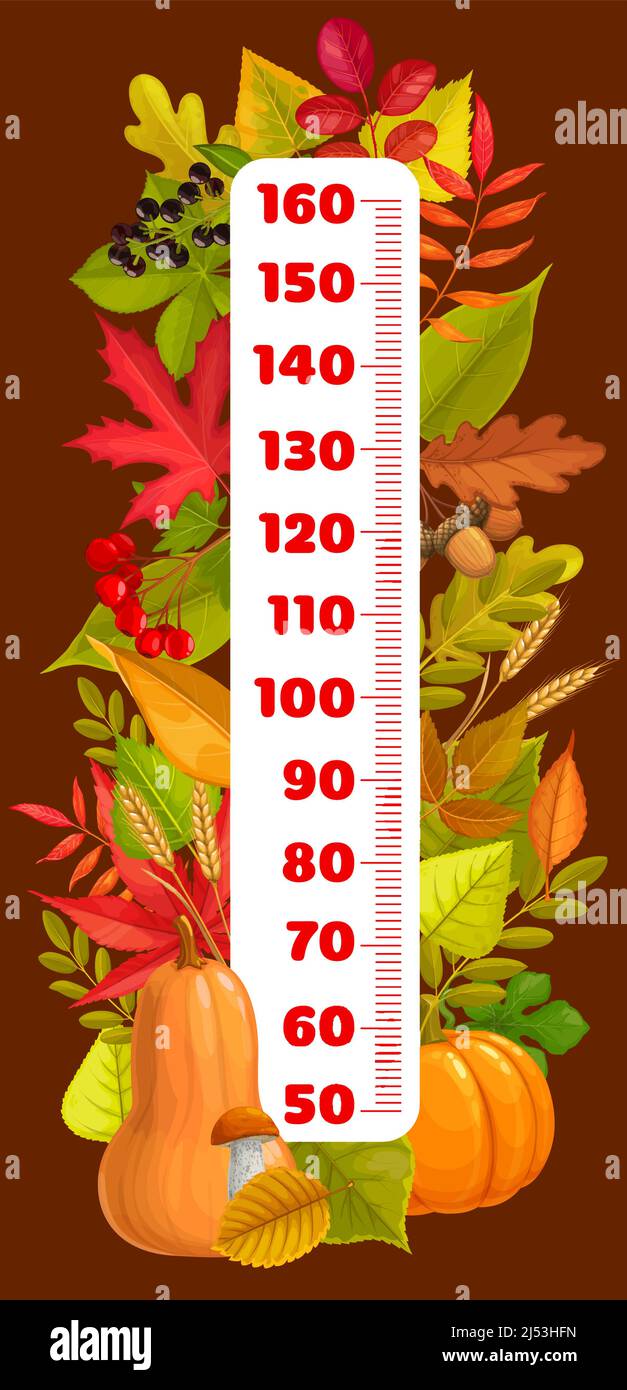 Autumn leaves, berries, mushrooms and pumpkins, kids height chart ruler ...