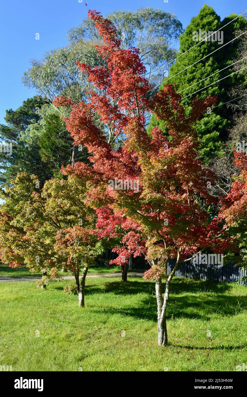 Nature strip australia hi-res stock photography and images - Alamy
