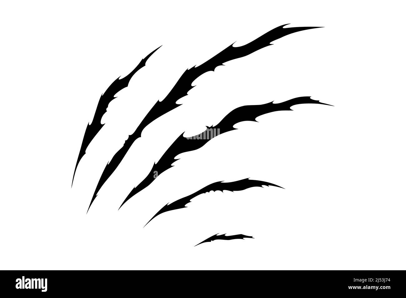 Claw scratches of wild animal. Cat scratches marks isolated in white  background. Monochrome vector illustration Stock Vector Image & Art - Alamy