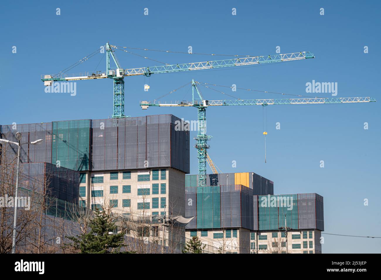 Panorama with many construction tower cranes in clear blue sky. Stock Photo
