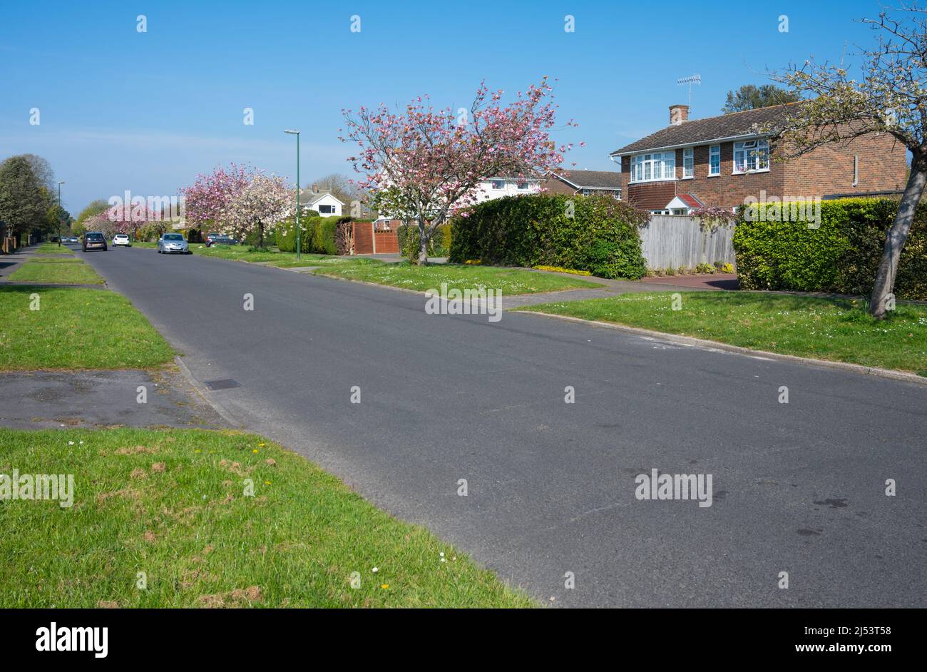 Clean, empty, modern road in a nice looking residential area with no road markings in Spring in West Sussex, England, UK. Stock Photo