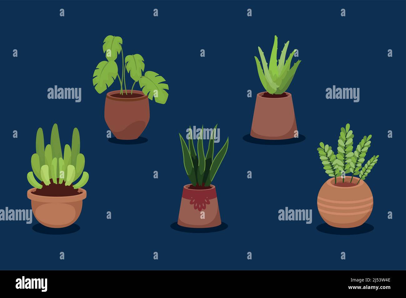 five houseplants decorative icons Stock Vector