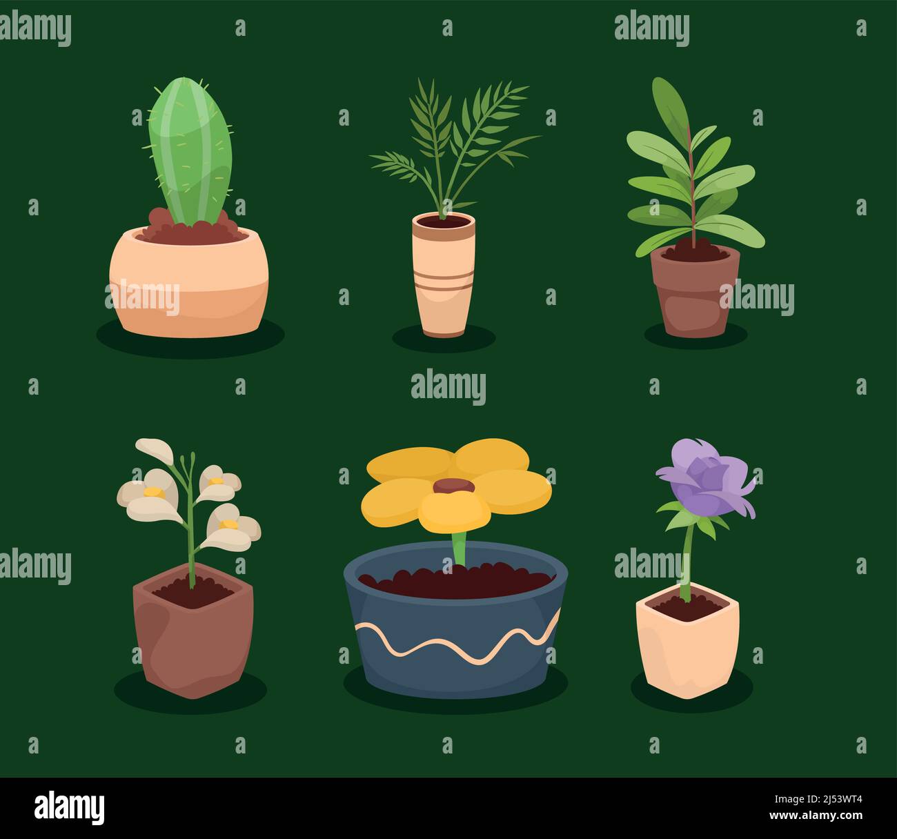 six houseplants decorative icons Stock Vector Image & Art - Alamy