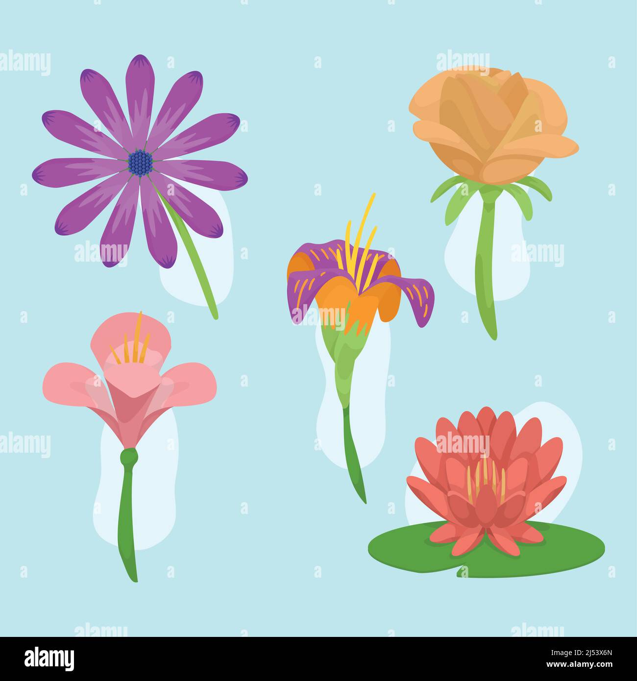 five beautiful flowers garden Stock Vector