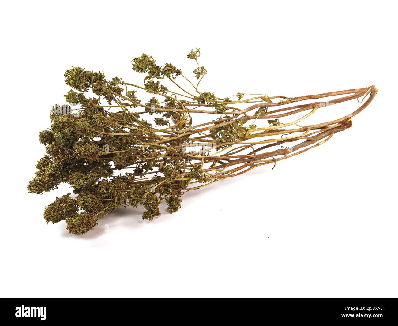 Dry thyme, summer savory, isolated on white Stock Photo Alamy