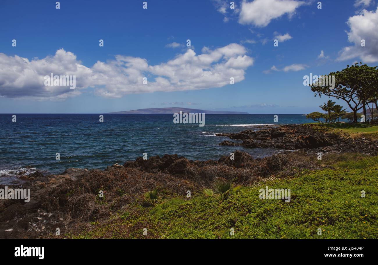 Nature landscape in Hawaii, tropical beach with palm tree in crystal clear sea. Stock Photo