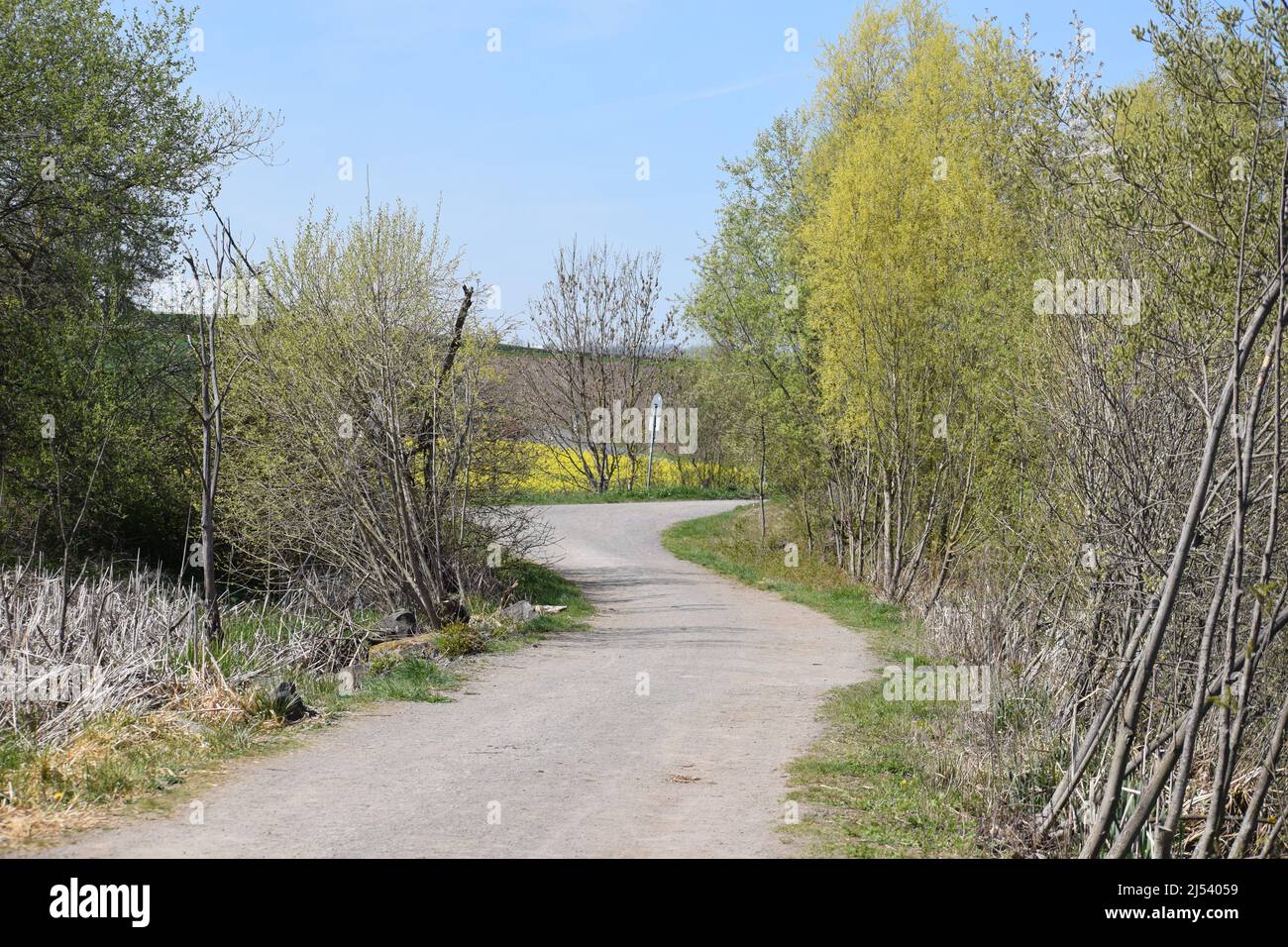 path between the two swamp lakes in the Thürer Wiesen Stock Photo - Alamy