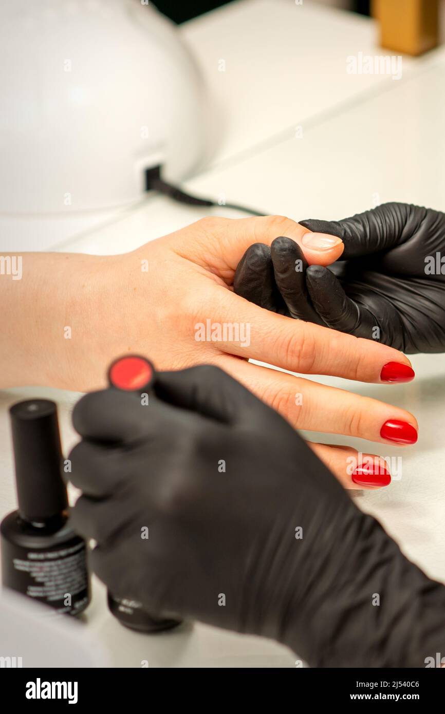 Professional manicure. A manicurist is painting the female nails of a