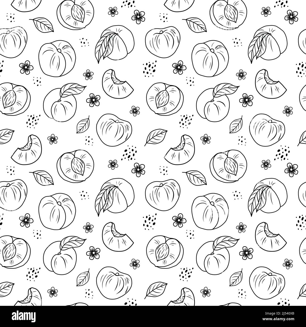 Peach or apricot hand drawn seamless pattern black and white. Vector illustration in doodle style Stock Vector