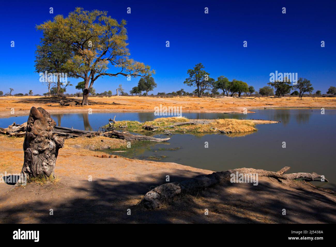 Water hole in Africa. Tipical African ladscape with dark blue sky