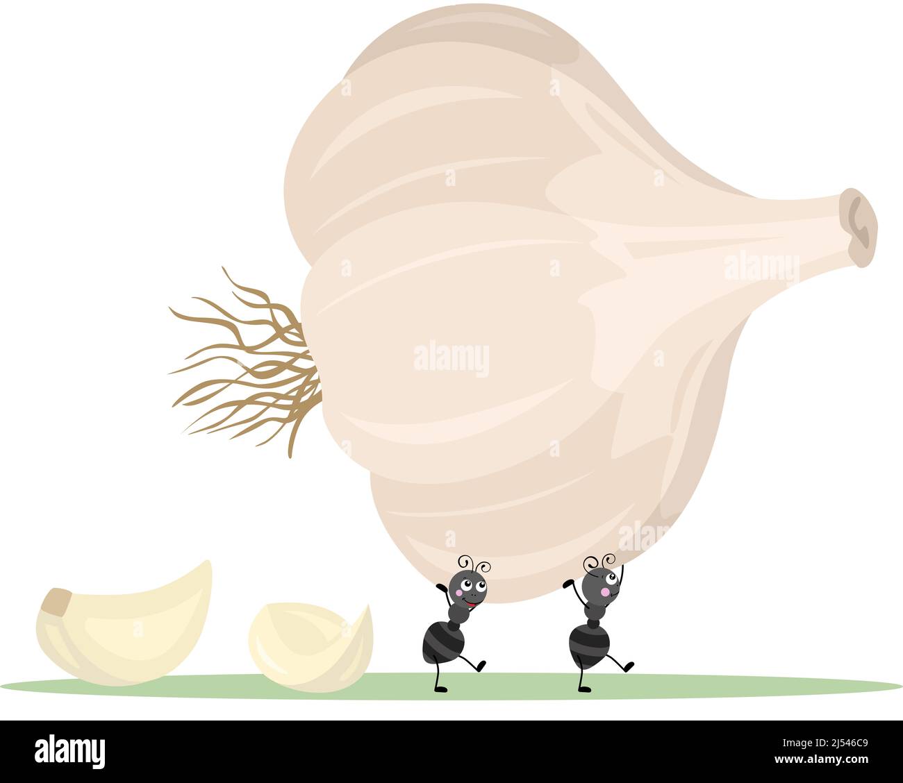 Cute ants carrying a garlic Stock Photo Alamy