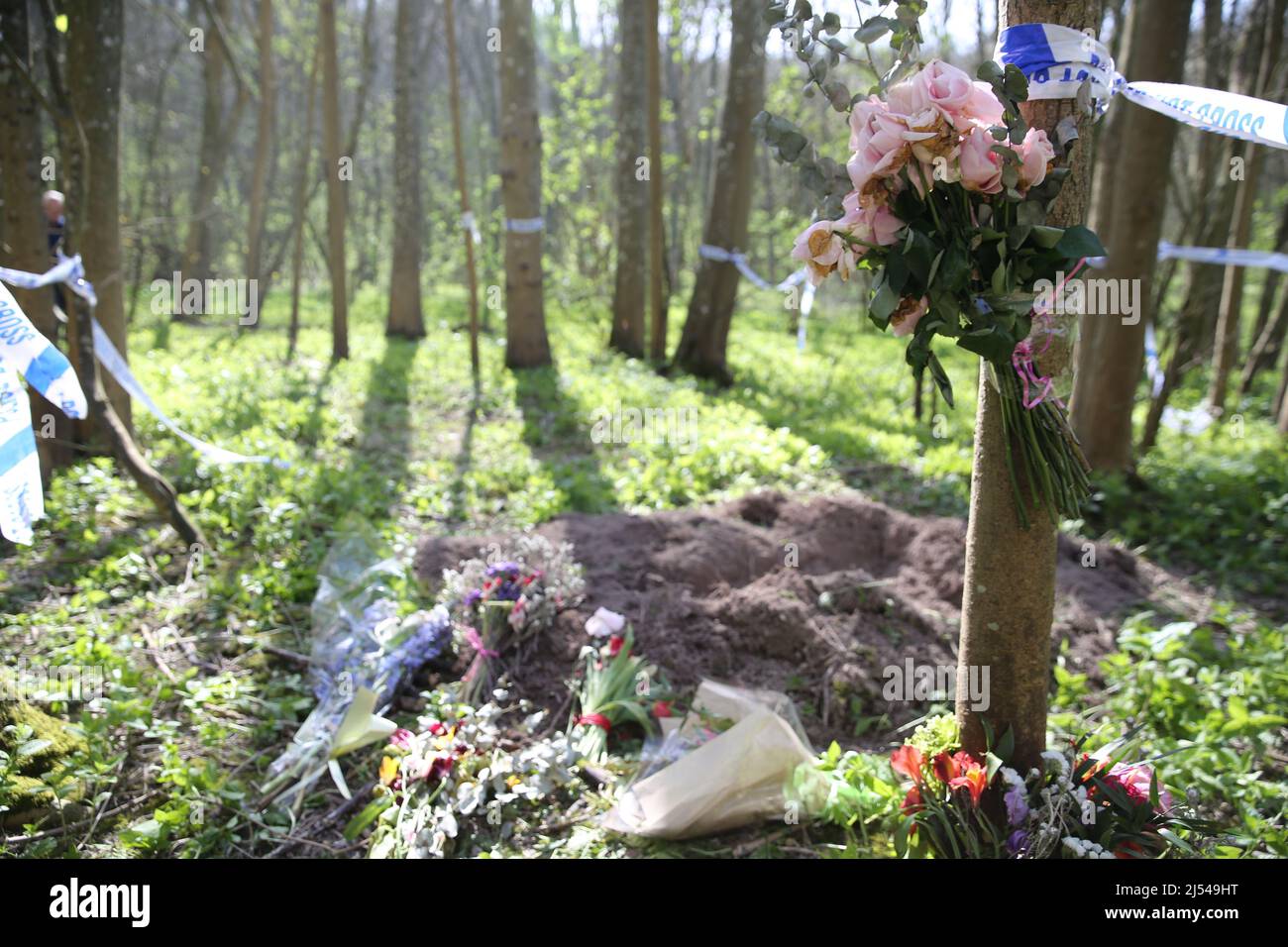 Crime Scene, shallow grave with flowers in the woods Stock Photo