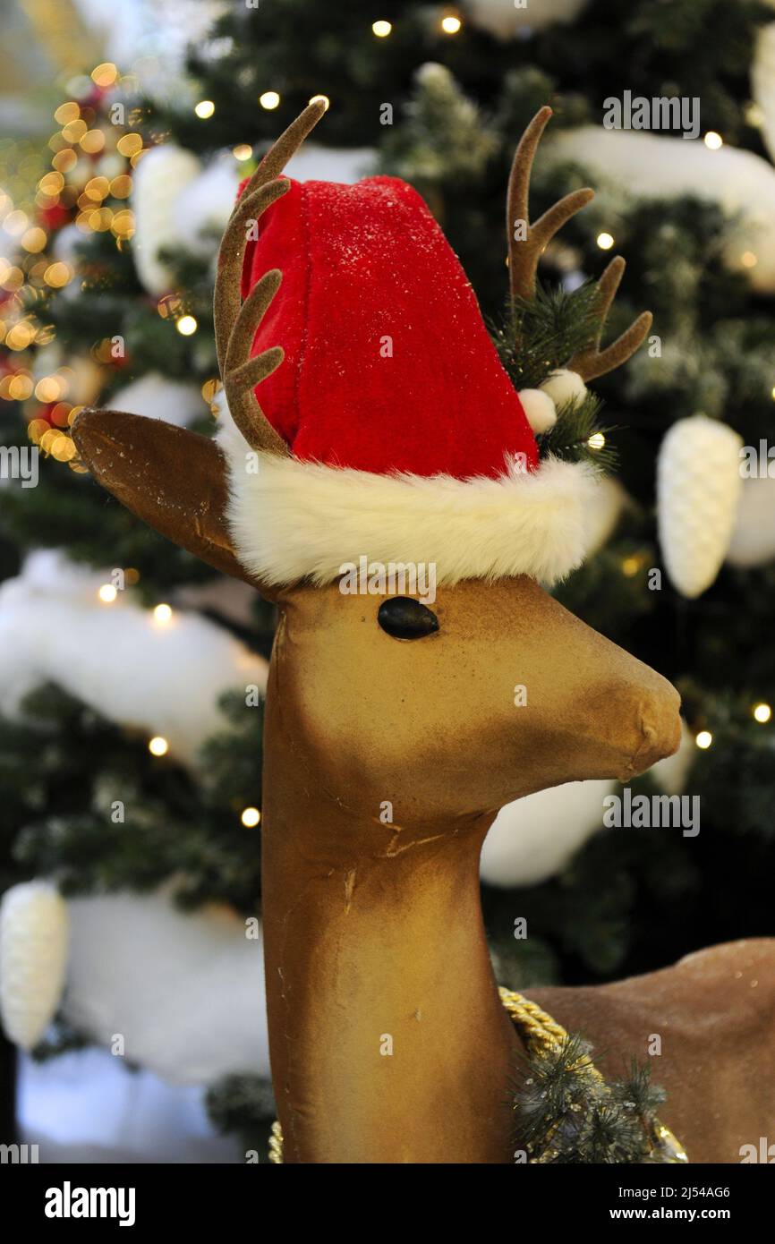 reindeer figure with Santa cap Stock Photo