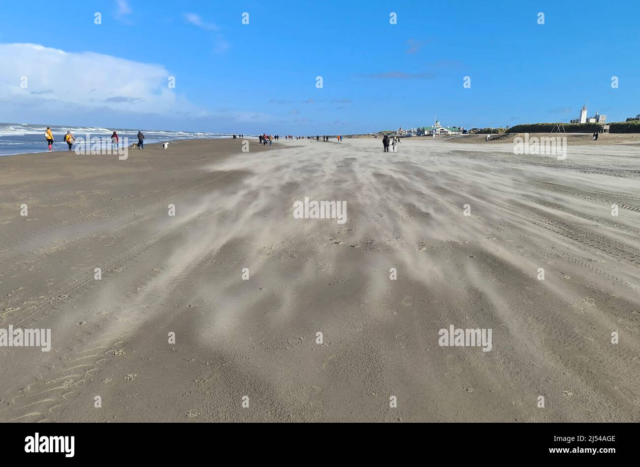 Amblers on the sandy beach near Noordwijk aan Zee, Netherlands, Noordwijk aan Zee Stock Photo