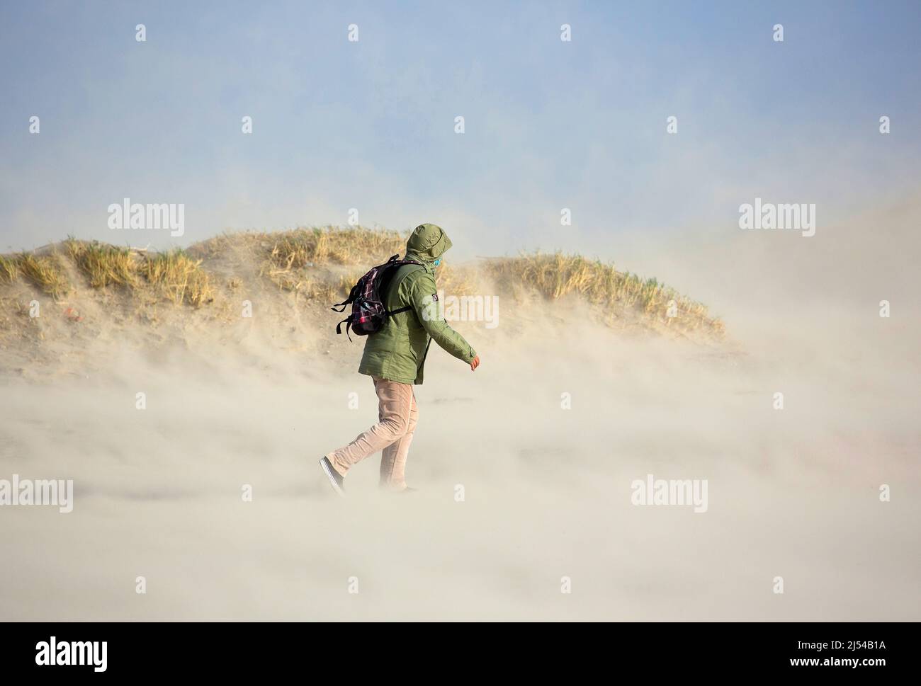 walker in the storm on the sandy beach, Hurricane Eunice, Zeynep, 02/19/2022, Belgium, West Flanders, Nieuwpoort Stock Photo