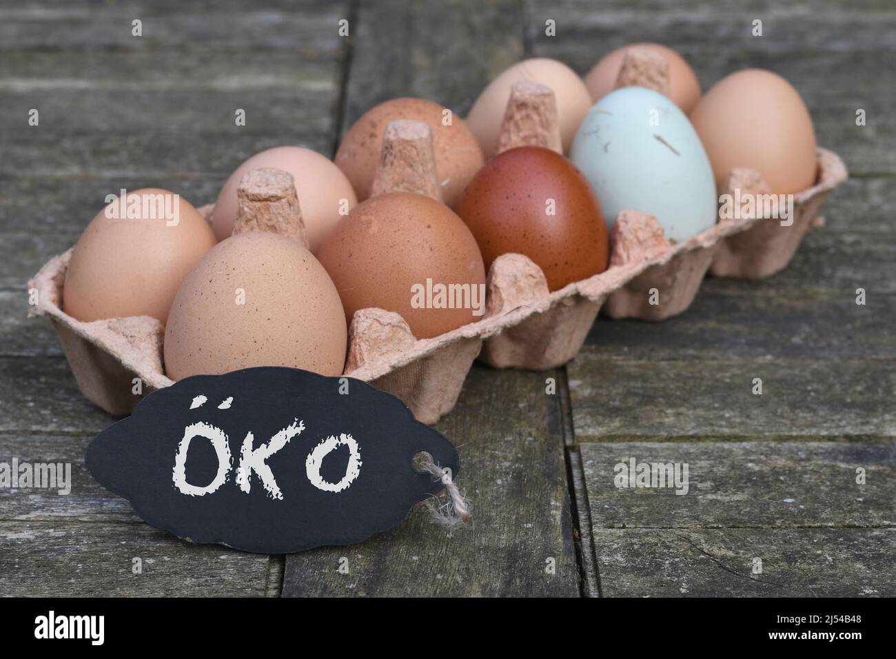 chalkboard with the inscription 'OEKO' in front of chicken eggs in the egg carton, Germany Stock Photo