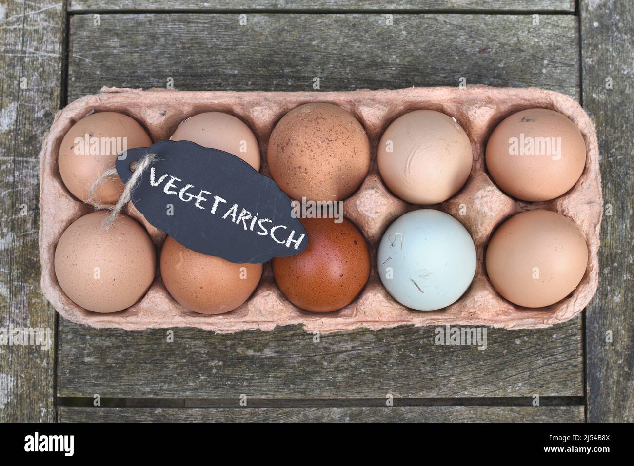 chalkboard with the inscription 'Vegetarisch' on chicken eggs in the egg carton, Germany Stock Photo