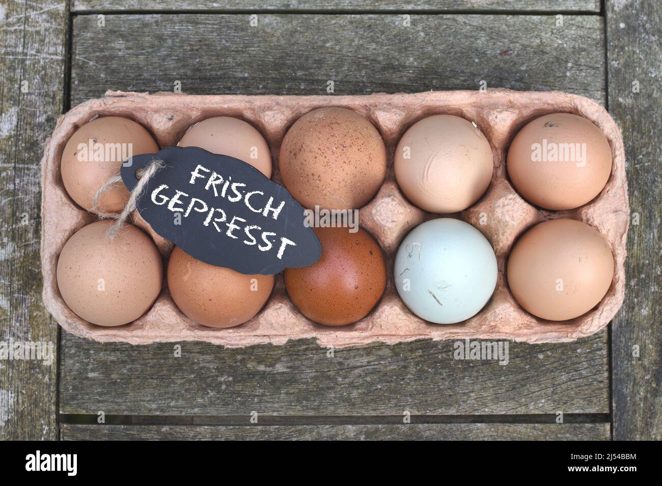 chalkboard with the inscription 'Frisch gepresst' on chicken eggs in the egg carton, Germany Stock Photo