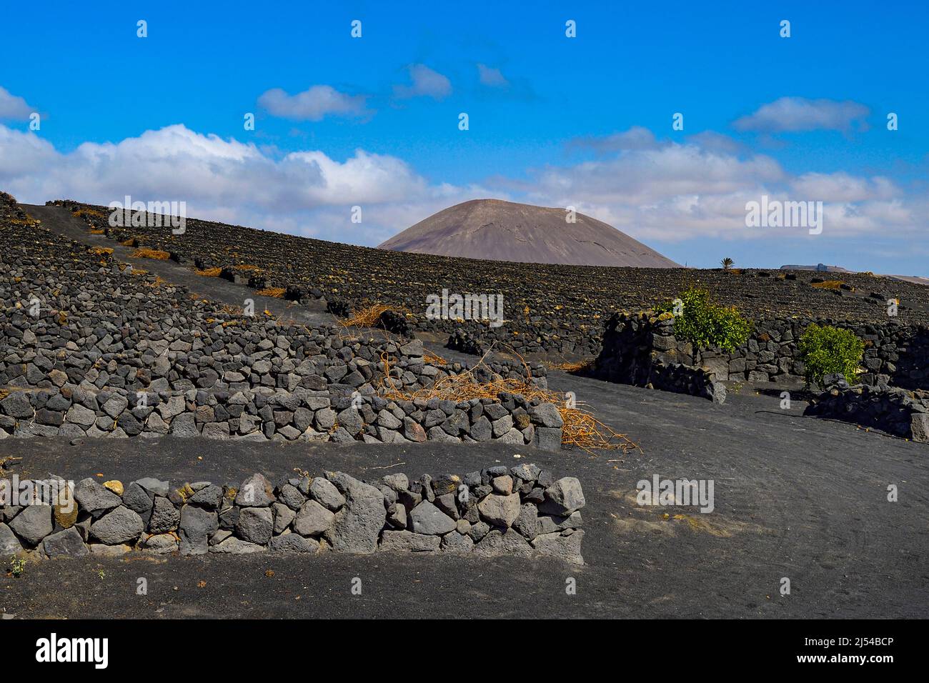 Walls made from lava stones at the vineyard Bodega El Grifo, Canary Islands, Lanzarote, La Geria Stock Photo