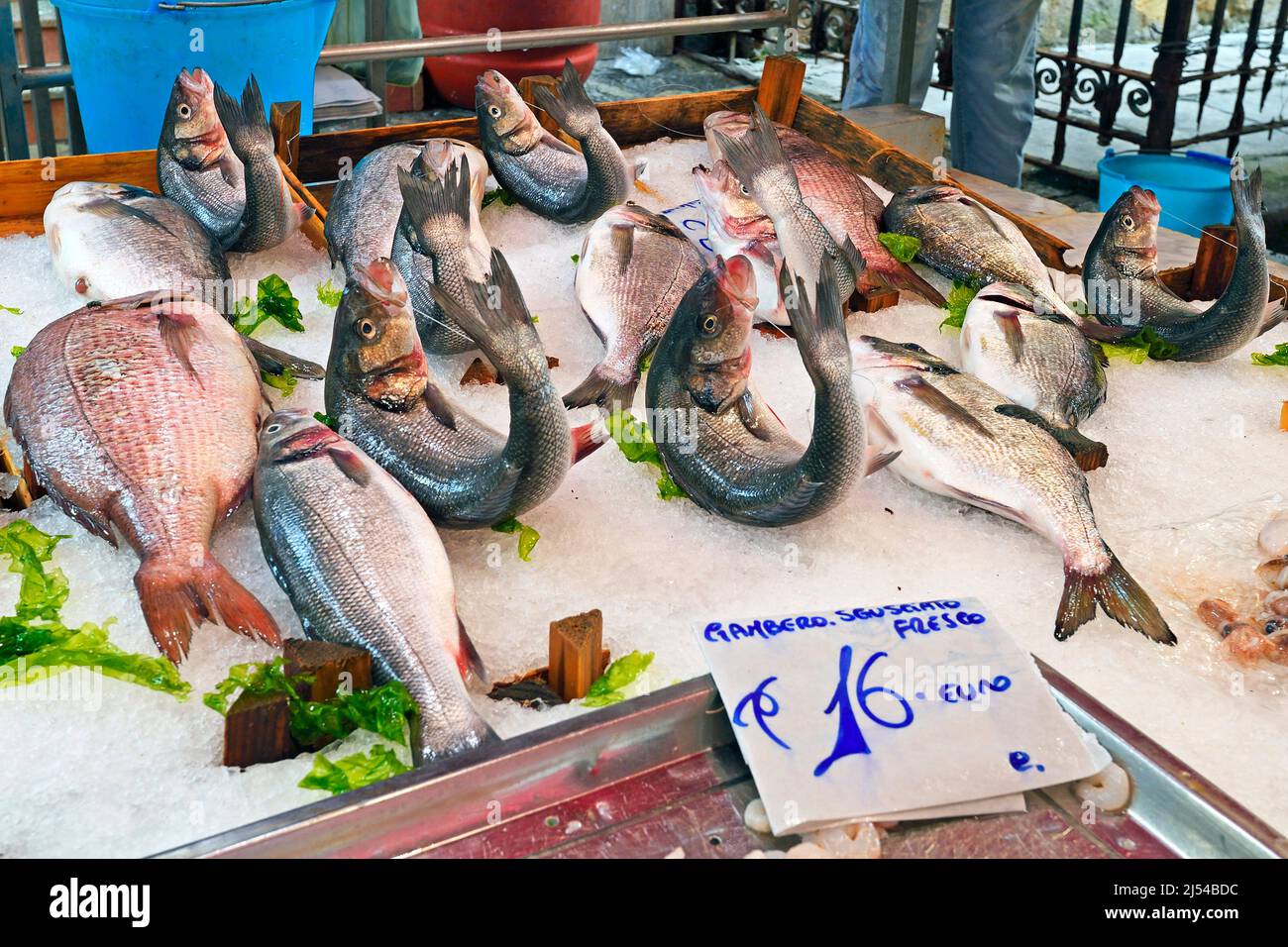 Fish on the market Mercato del Capo, Italy, Sicilia, Palermo Stock Photo