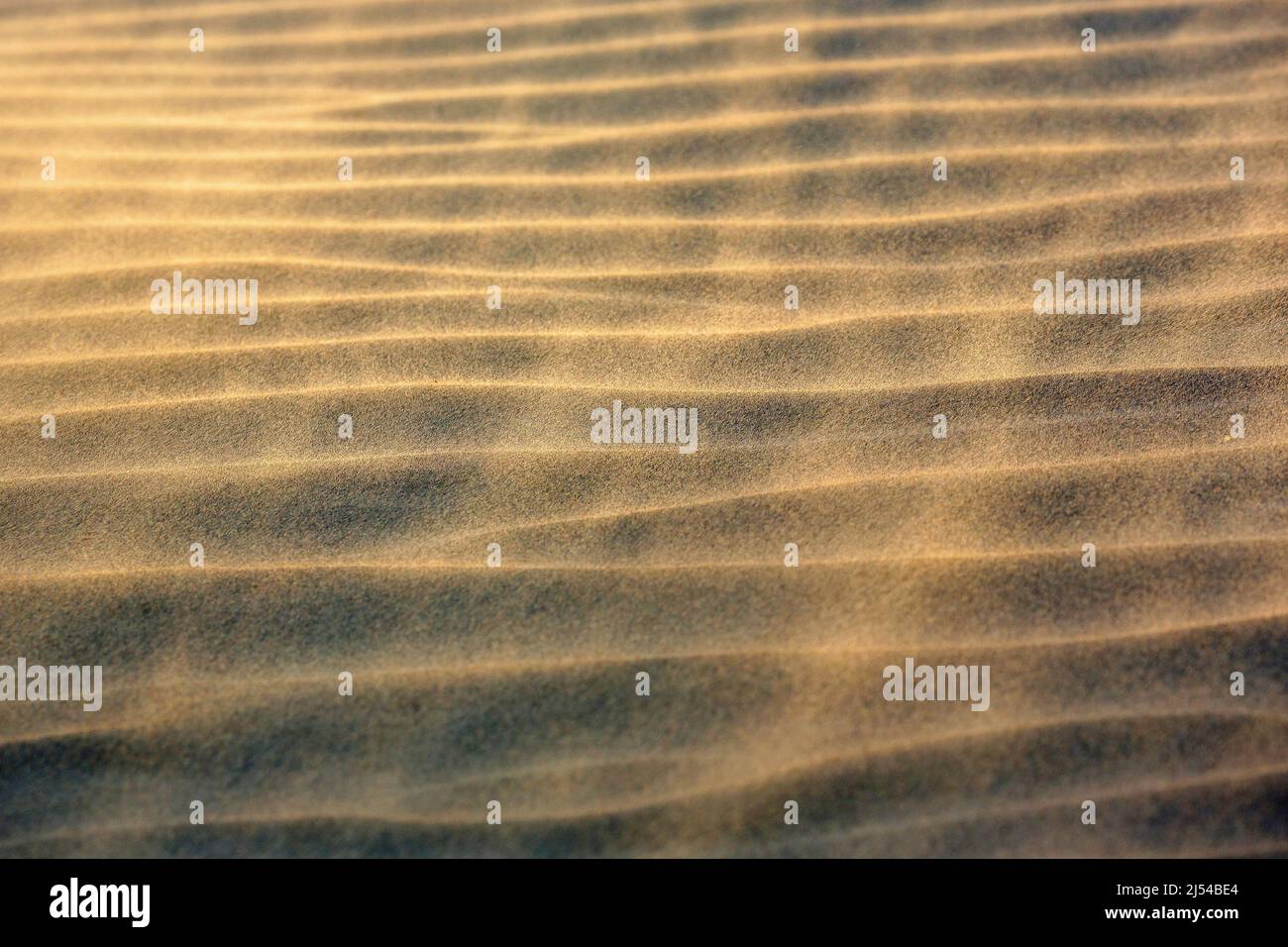 storm on the sandy beach, Hurricane Eunice, Zeynep, 02/19/2022, Belgium, West Flanders, Nieuwpoort Stock Photo