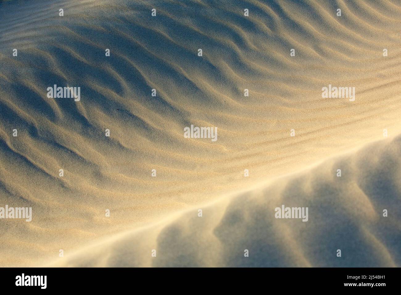 storm on the sandy beach, Hurricane Eunice, Zeynep, 02/19/2022, Belgium, West Flanders, Nieuwpoort Stock Photo