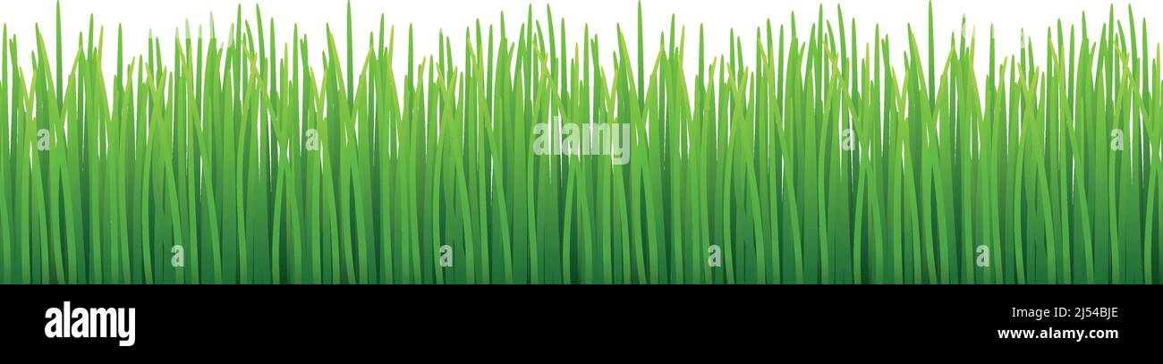 Green grass seamless pattern. Eco nature border Stock Vector Image ...