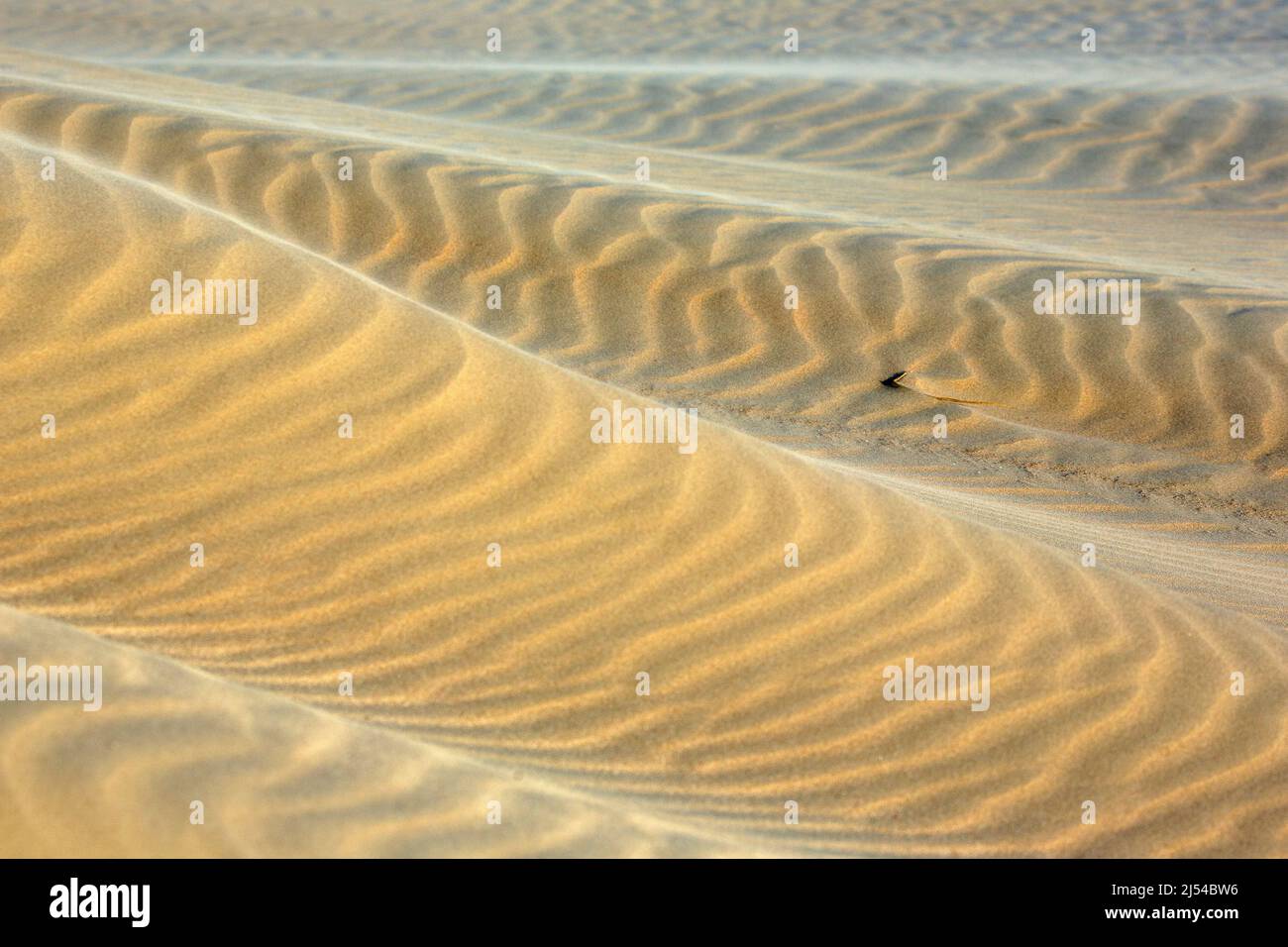 storm on the sandy beach, Hurricane Eunice, Zeynep, 02/19/2022, Belgium, West Flanders, Nieuwpoort Stock Photo