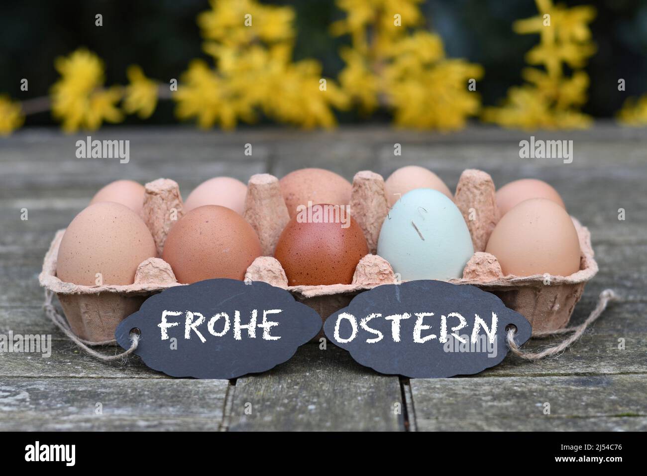 chalkboard with the inscription 'Frohe Ostern' in front of chicken eggs in the egg carton, Germany Stock Photo