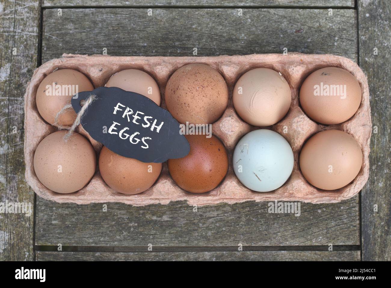 chalkboard with the inscription 'Fresh Eggs' on chicken eggs in the egg carton, Germany Stock Photo