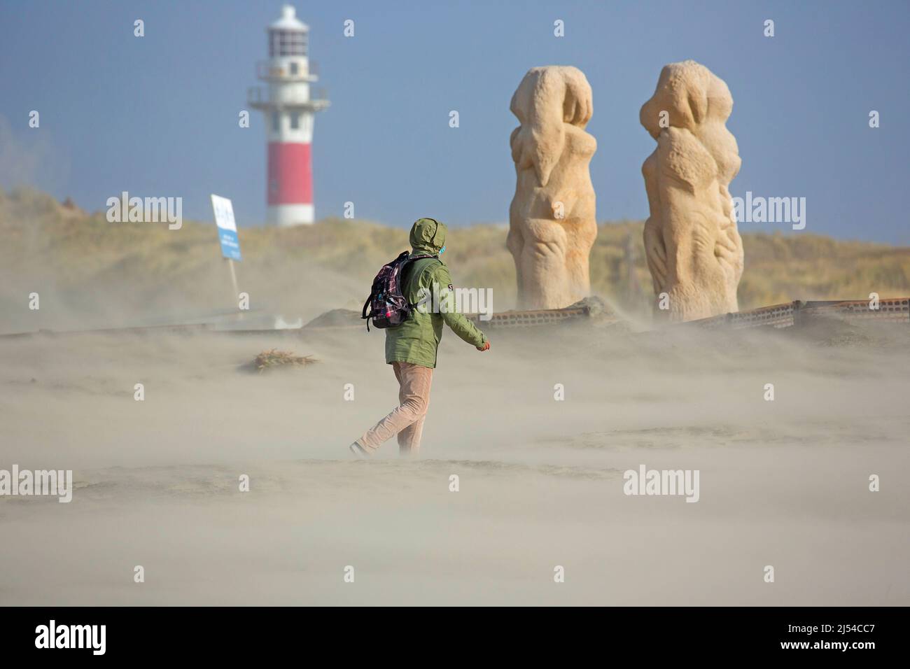 walker in the storm on the sandy beach, Hurricane Eunice, Zeynep, 02/19/2022, Belgium, West Flanders, Nieuwpoort Stock Photo