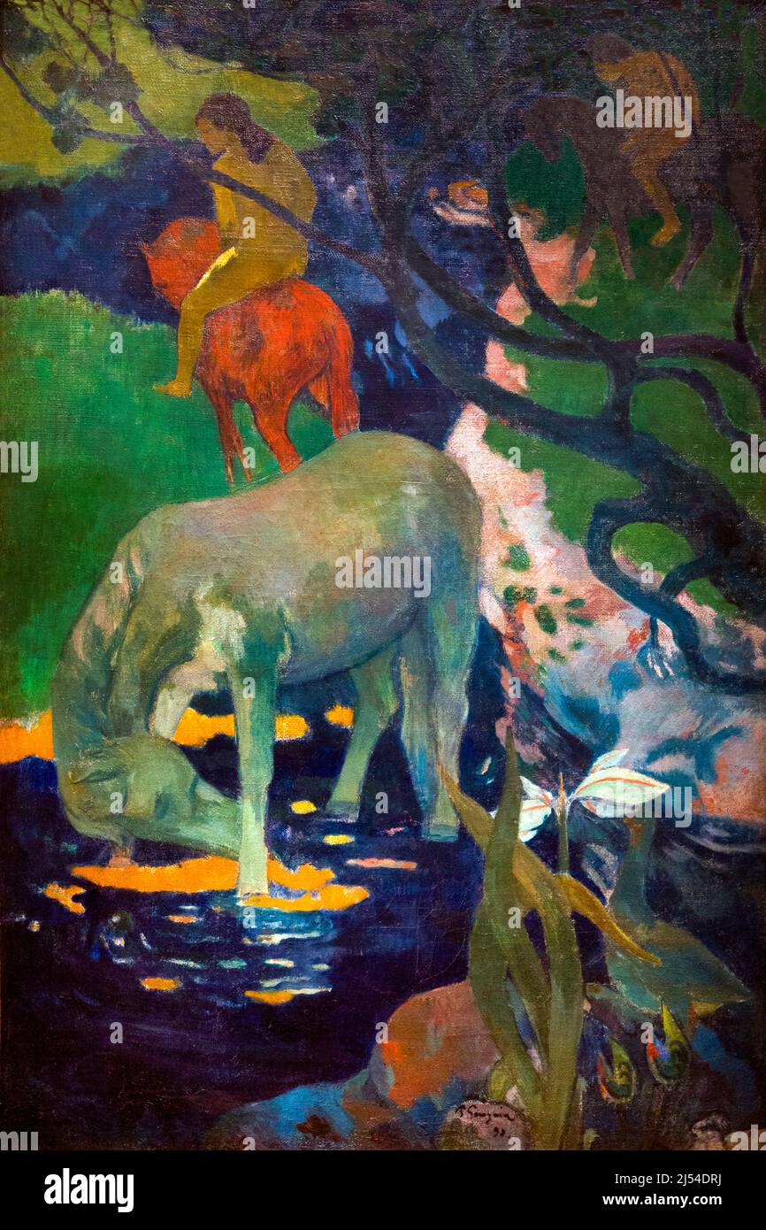 The White Horse, Le Cheval Blanc, Paul Gauguin, 1898, Musee D'Orsay, Paris, France, Europe Stock Photo