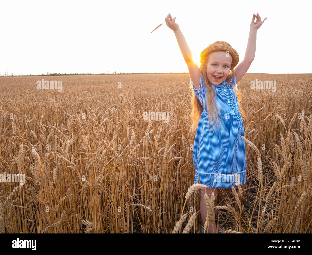 Adorable little girl in a straw hat and blue plaid summer dress in ...