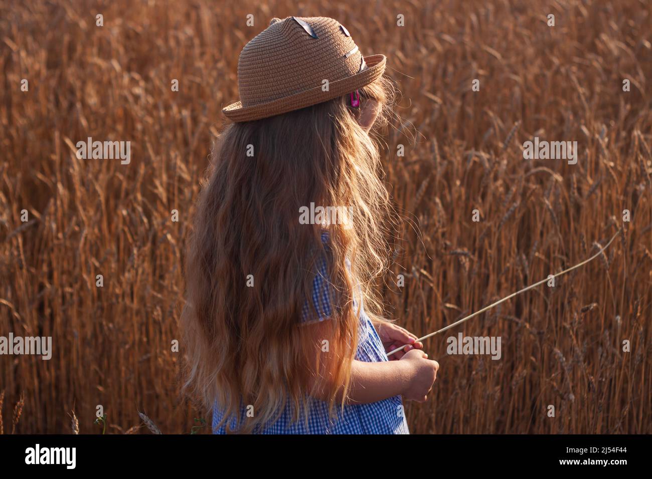 Adorable little girl in a straw hat and blue plaid summer dress in ...