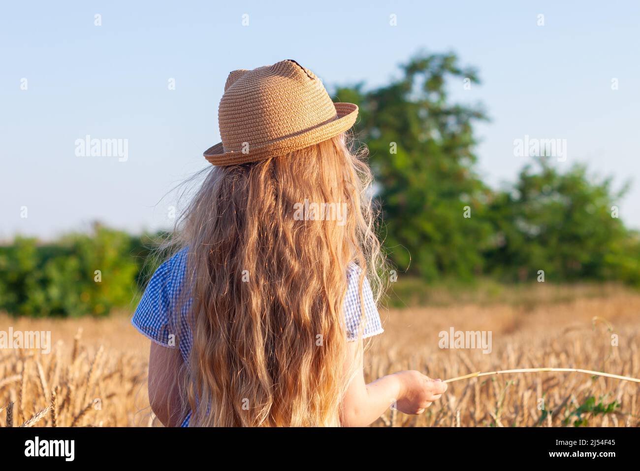 Adorable little girl in a straw hat and blue plaid summer dress in ...