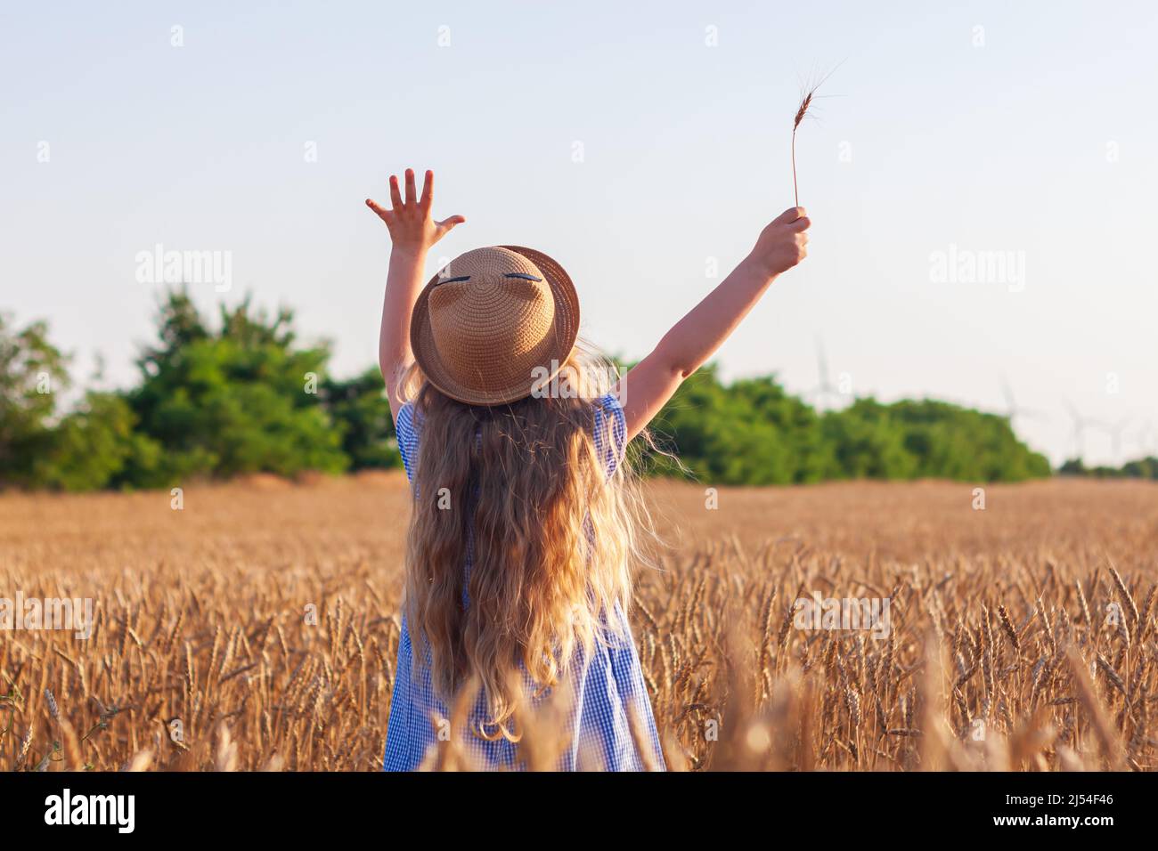 Adorable little girl in a straw hat and blue plaid summer dress in ...