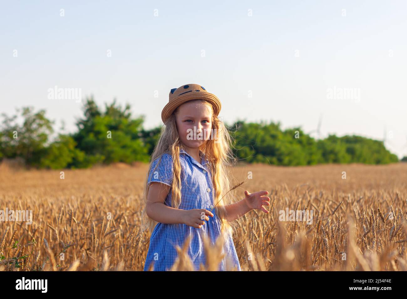 Adorable little girl in a straw hat and blue plaid summer dress in ...
