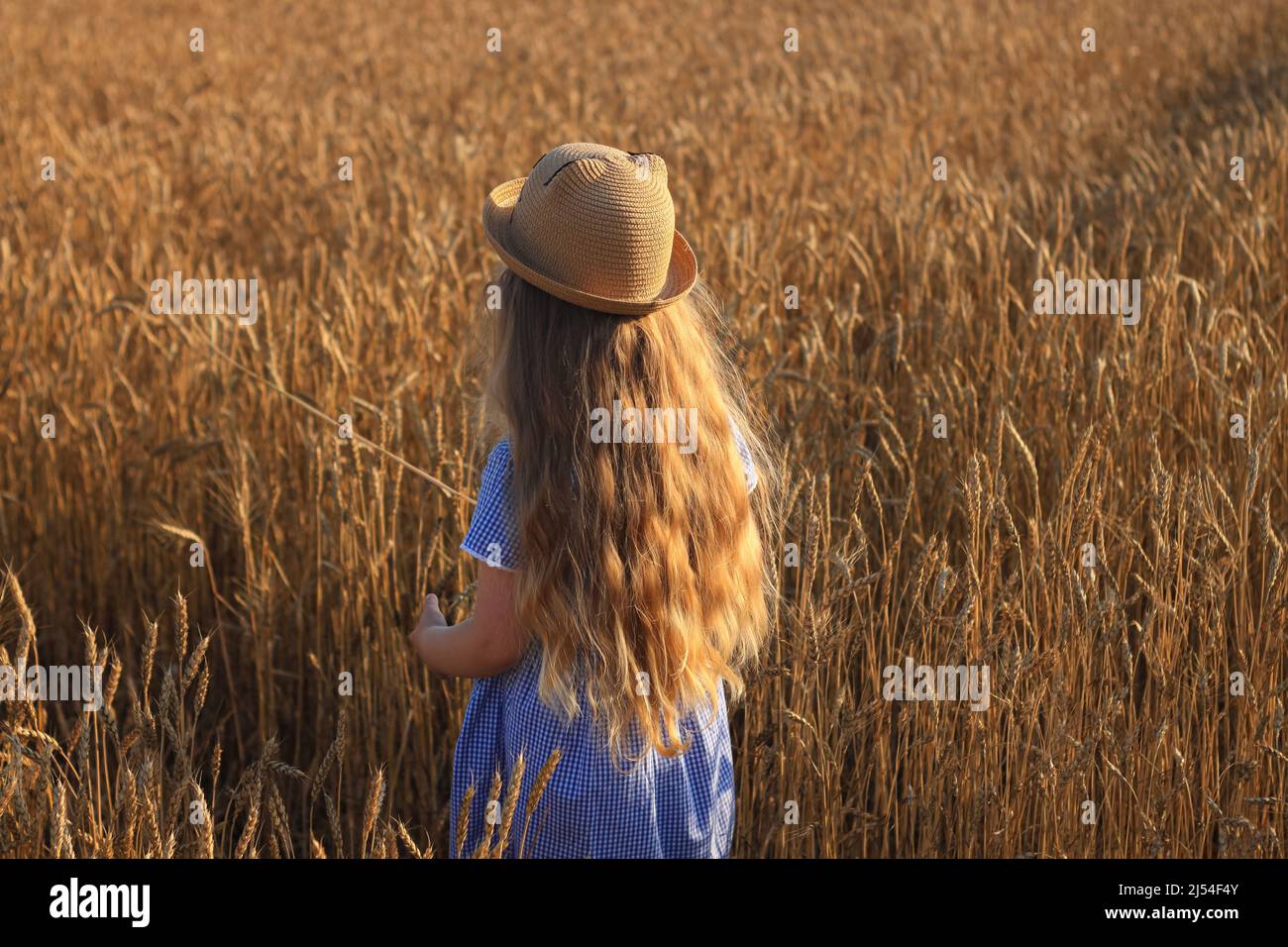 Adorable little girl in a straw hat and blue plaid summer dress in ...