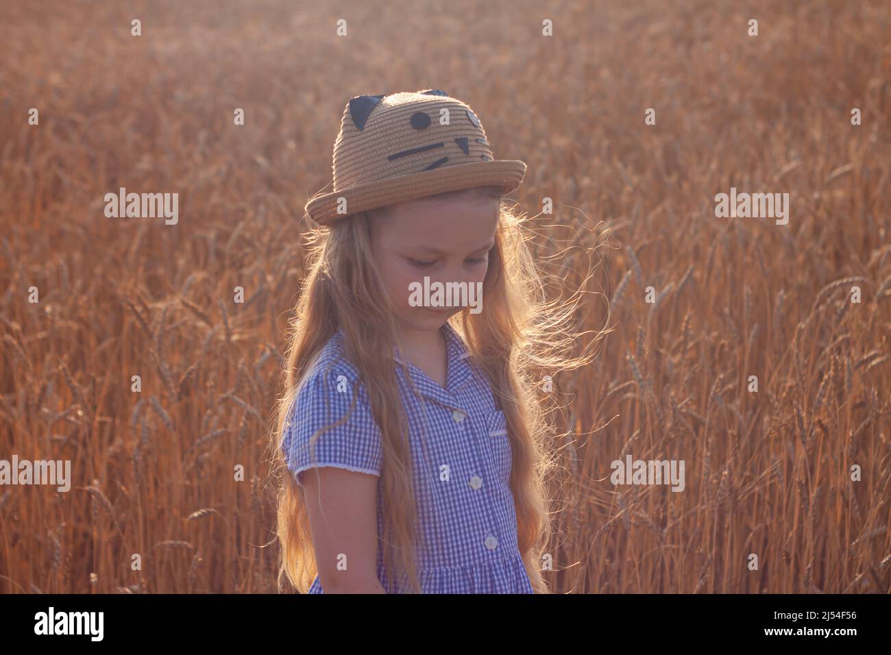 Adorable little girl in a straw hat and blue plaid summer dress in ...