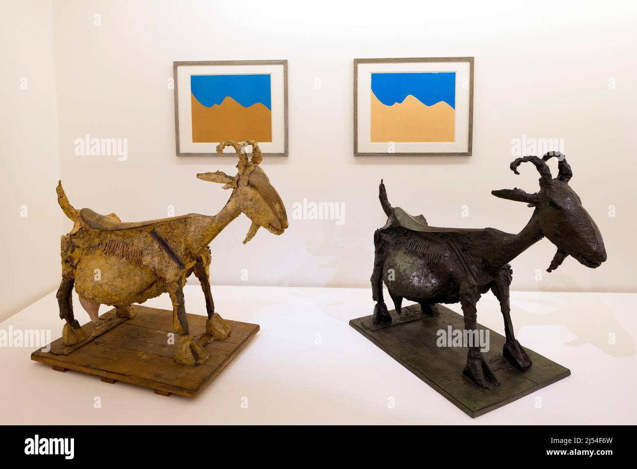 The Goat, La Chevre, 1950, statues interior of Musee Picasso, Paris, France, Europe Stock Photo