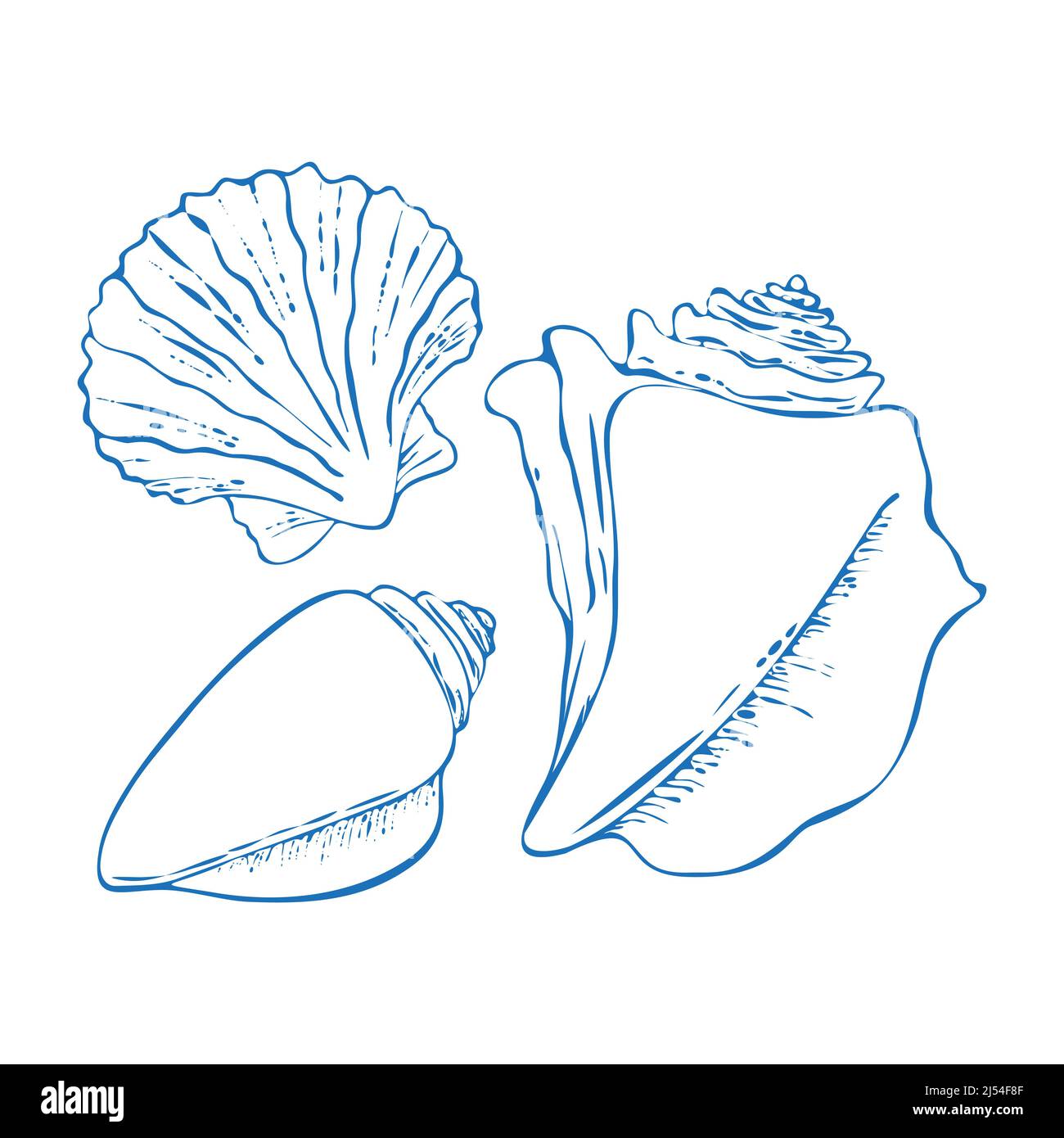 Set of vector seashells in doodle style, hand drawn dark outline, isolated, white background. Vector illustration Stock Vector