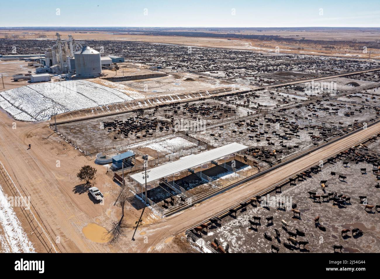 Intensive livestock operation hires stock photography and images Alamy