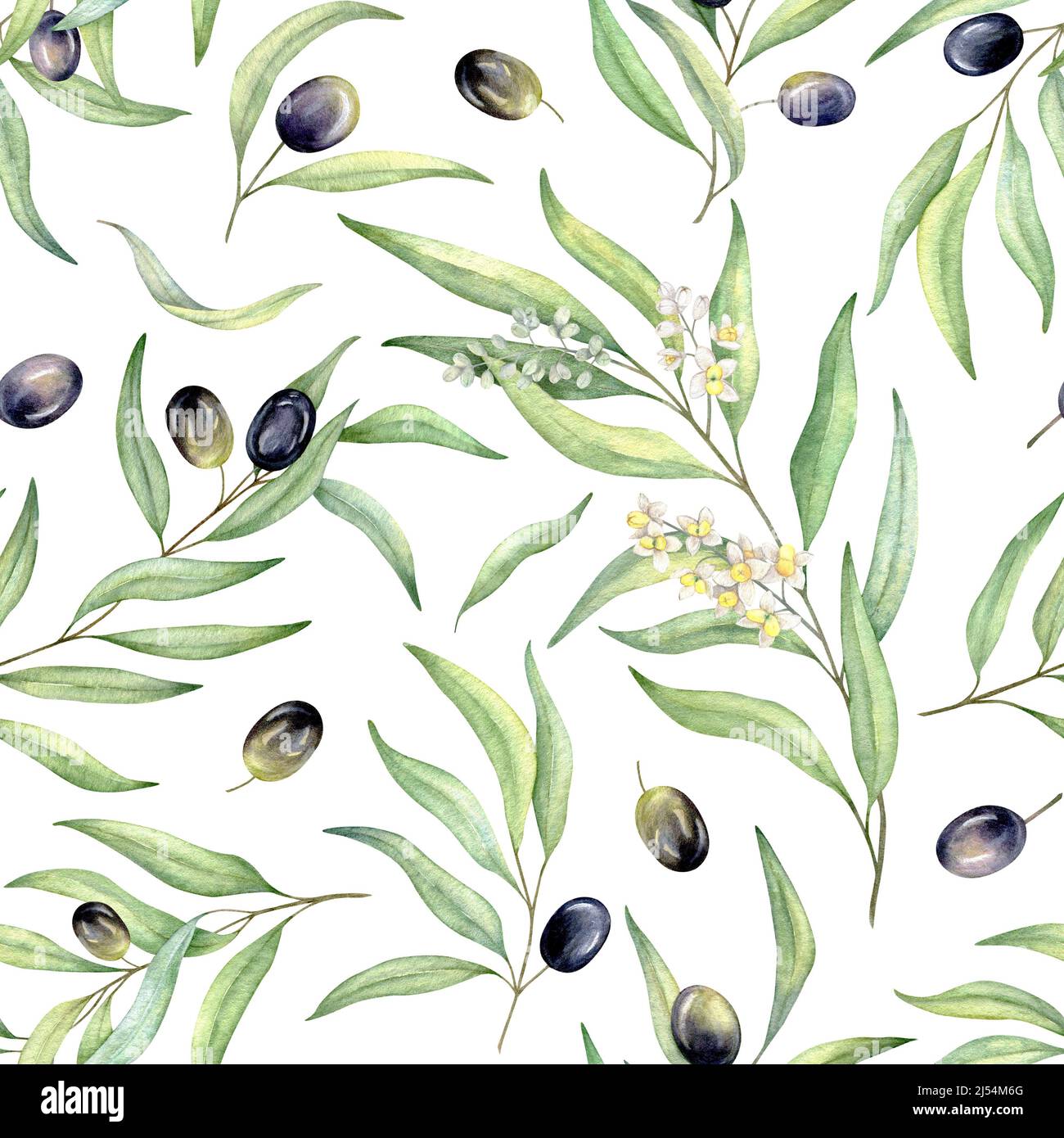 Watercolor seamless pattern of black olives. Hand painted illustration ...