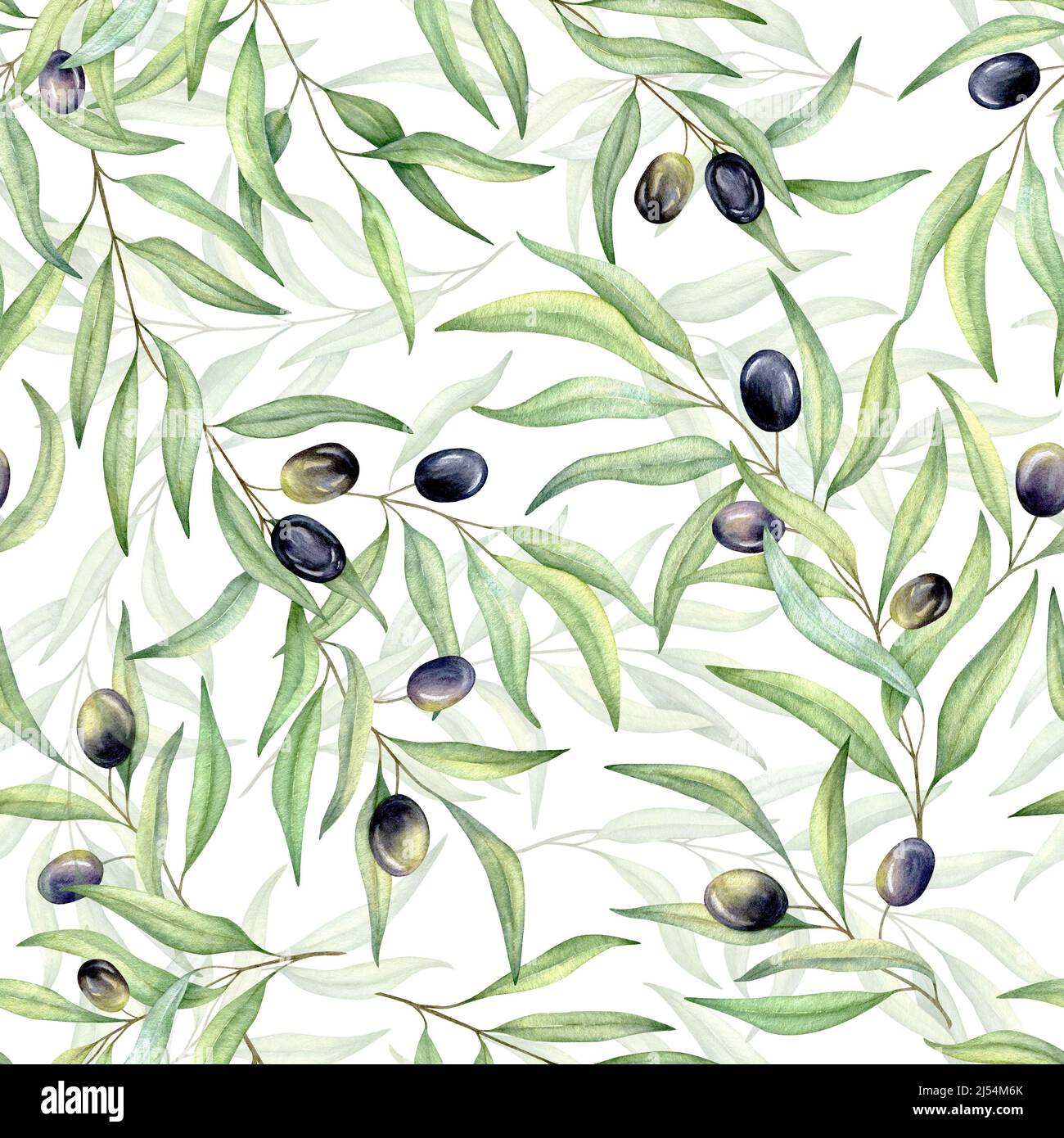 Watercolor seamless pattern of black olives. Hand painted illustration ...