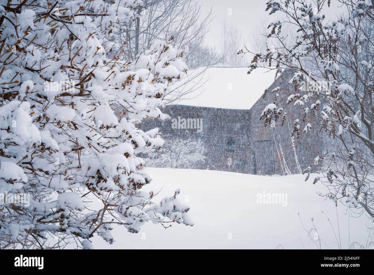 An old, and long ago abandoned farm building under a blanket