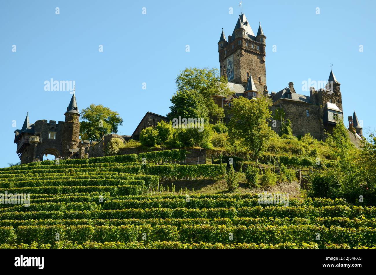 Reichsburg Cochem in Hunsrück lies on the green vineyards under blue sky with all its castle towers Stock Photo